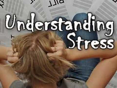 What Causes Your Stress? Understanding Stress Management